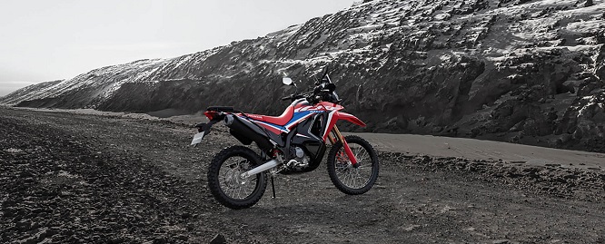 Fitur CRF250 Rally