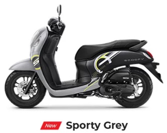 Scoopy Sporty Grey New
