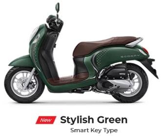 Scoopy Stylish Green New