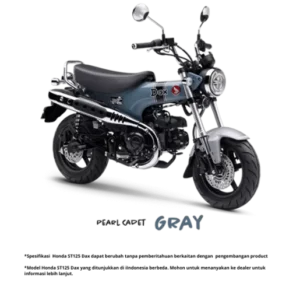 ST 125 Dax Gray