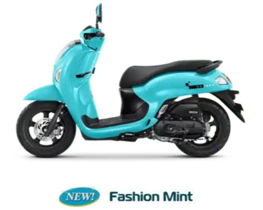 Scoopy Fashion Mint