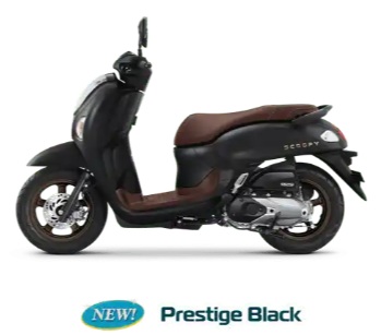 Scoopy Prestige Black