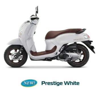 Scoopy Prestige White