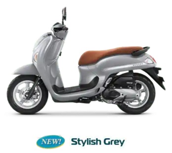 Scoopy Stylish Grey